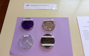 Alaun-Kristalle, die mit den Farbstoffen aus Lebensmitteln gefärbt wurden.
