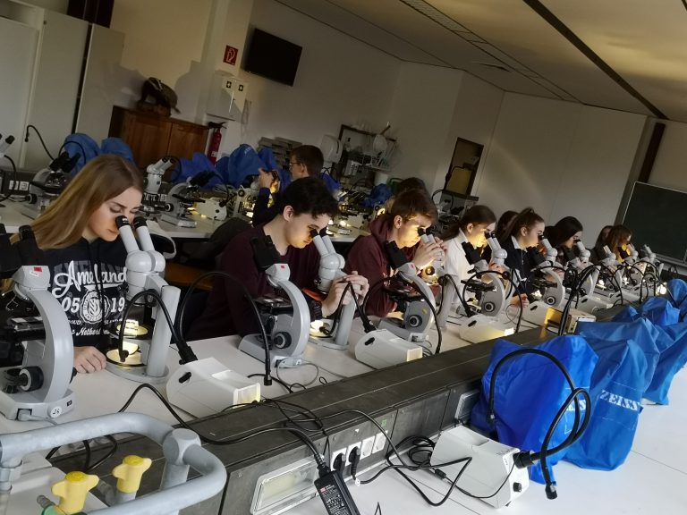 zahlreiche Schüler an Mikroskopen