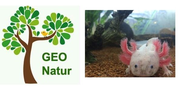 GEO Naturprojekte