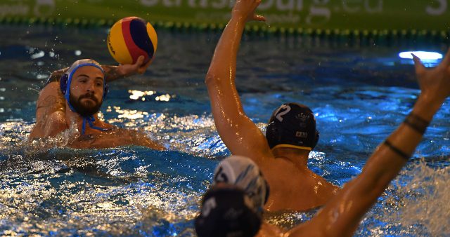 Wasserball für Anfänger