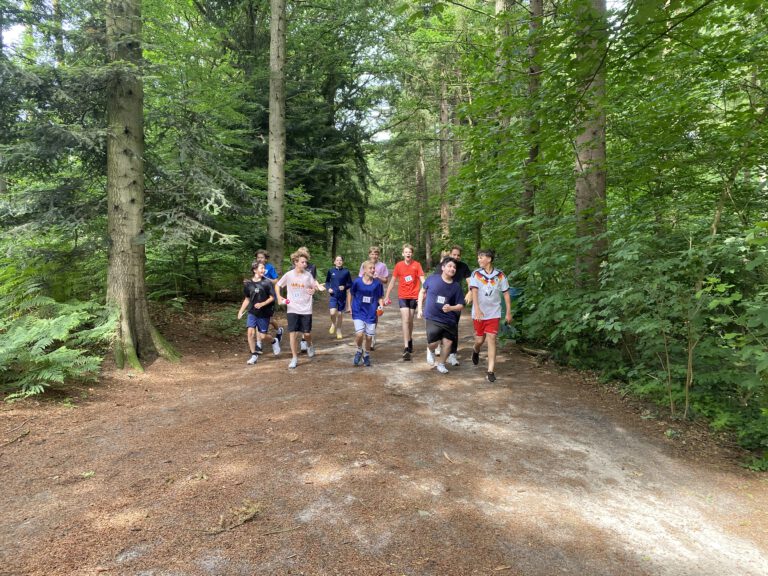 11 Schüler die fröhlich durch einen Wald laufen