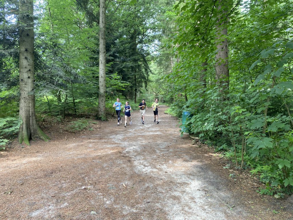 je zwei Schüler und Schülerinnen durch den Wald laufend