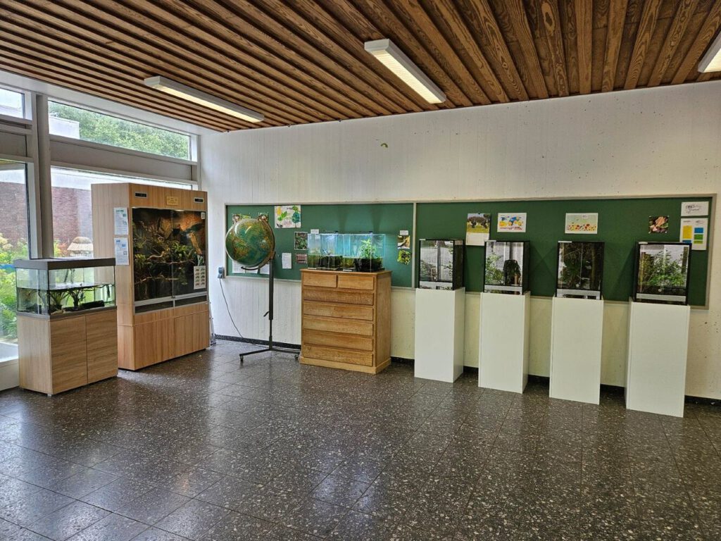 Die Terrarien des Vivariums in der Pausenhalle